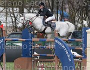 Whitacker G Wesselton TosTour 2013- S4 6648 : Arezzo Equestrian Centre, Toscana Tour 2013, Wesselton M, Whitacker George, foto di Stefano Secchi ©